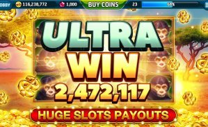 win777bet